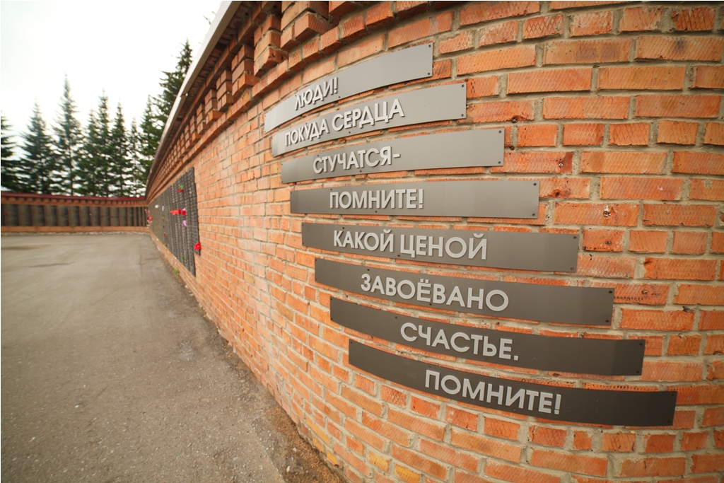 Позитивный вирус