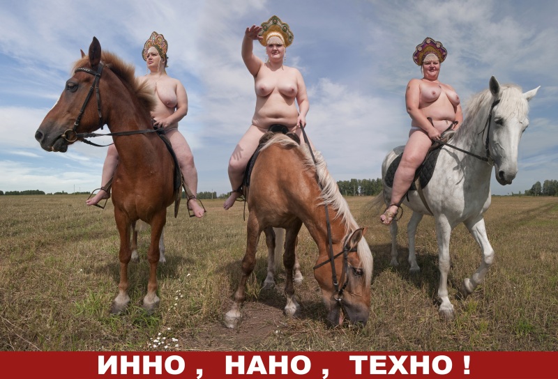 Синие носы "Инно, нано, техно", работа с выставки "Родина"