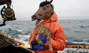 Скоро конь найдёт меня