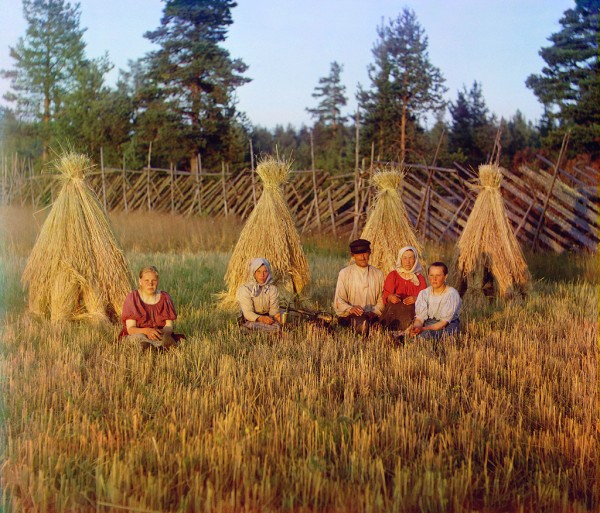 Ранимое кино