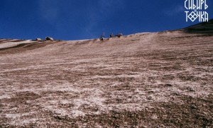Сибирская инстаграмота-4