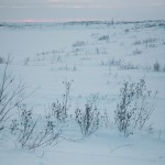 «Сибирь и точка»: Дудинка