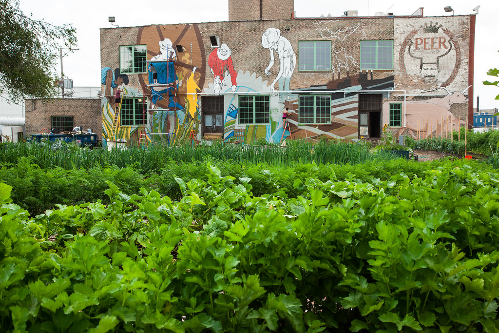 Plant Chicago - flickr Еда в городе: пищевая цепь горожанина