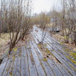 «Сибирь и точка»: Игарка