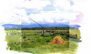 «Сибирь и точка»: старообрядцы Уймонской долины